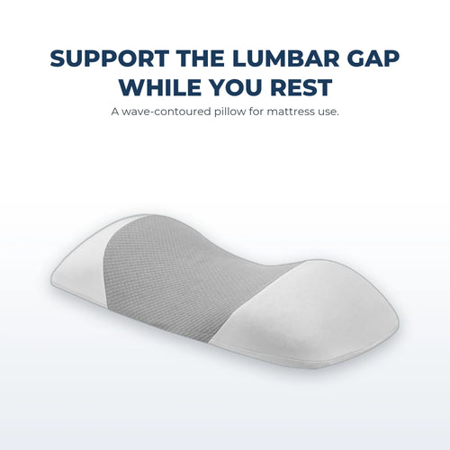 Ostenex™ Ergonomic Back Pillow